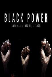 Watch Free Black Power: Americas Armed Resistance (2016)