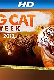 Watch Free Big Cat Games (2015)