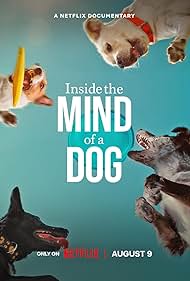 Watch Full Movie :Inside the Mind of a Dog (2024)