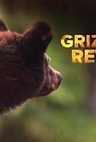 Watch Free Grizzly Rewild (2023)