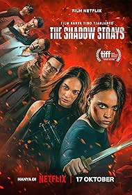 Watch Full Movie :The Shadow Strays (2024)