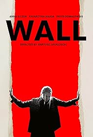 Watch Free The Wall (2019)